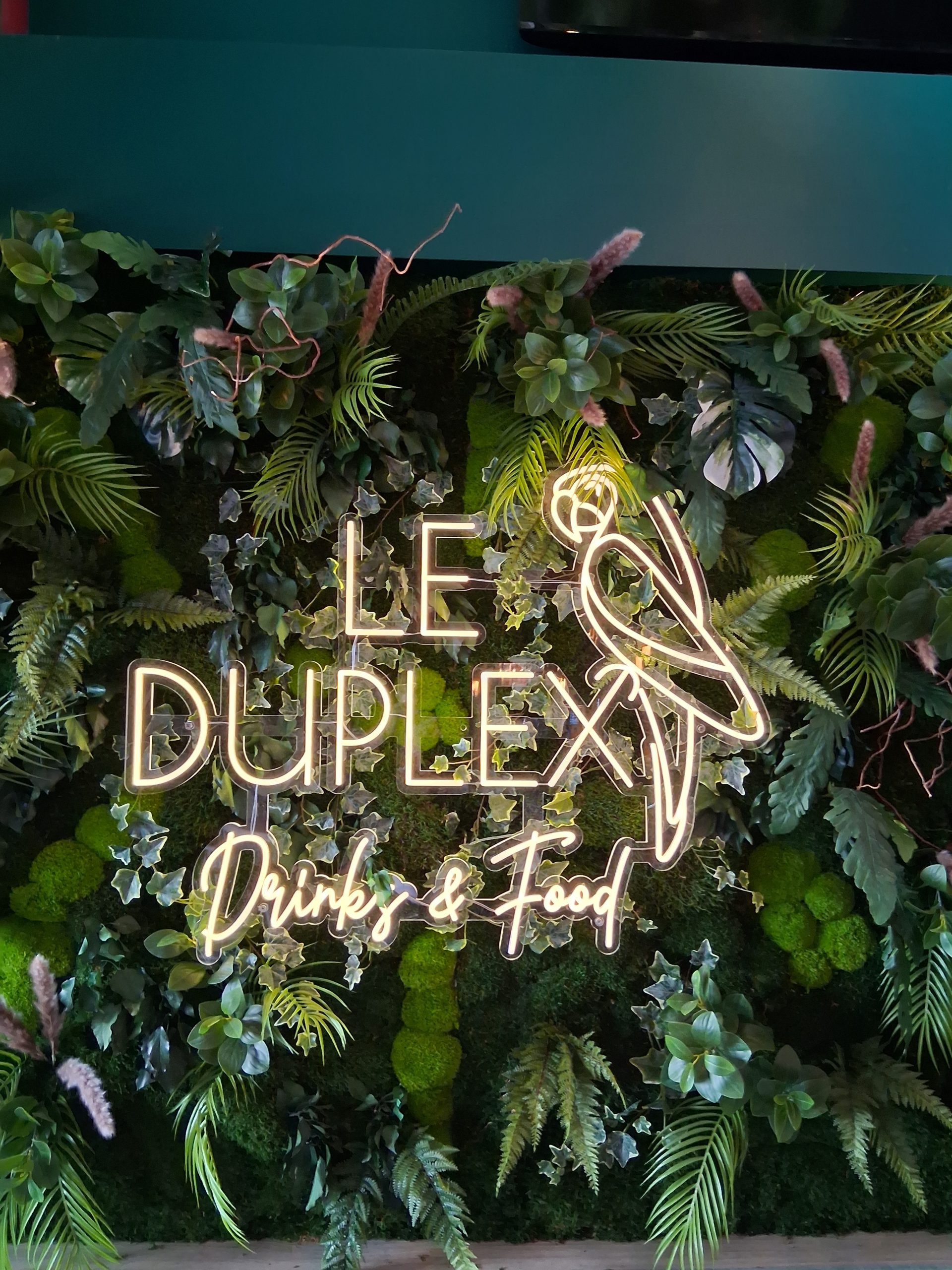 LOGO DUPLEX 74