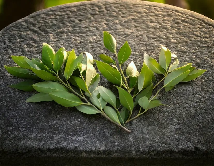 branche de rameau sur pierre tombale doussard