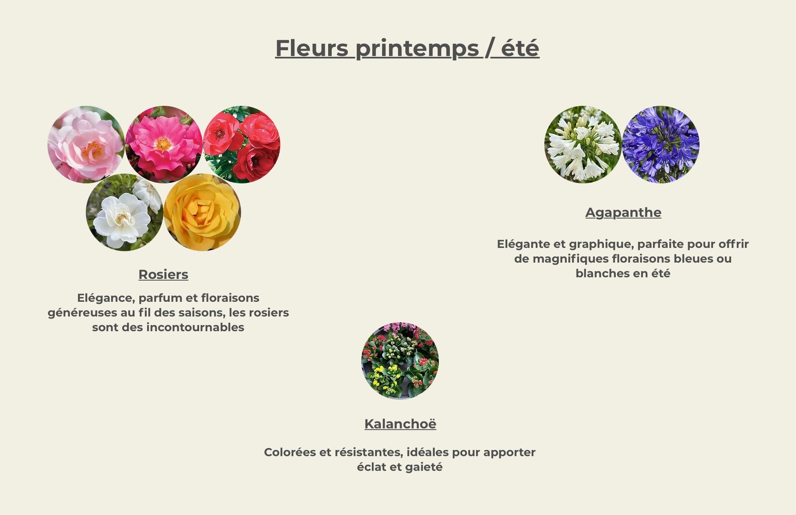 nettoyage sépulture cran gevrier