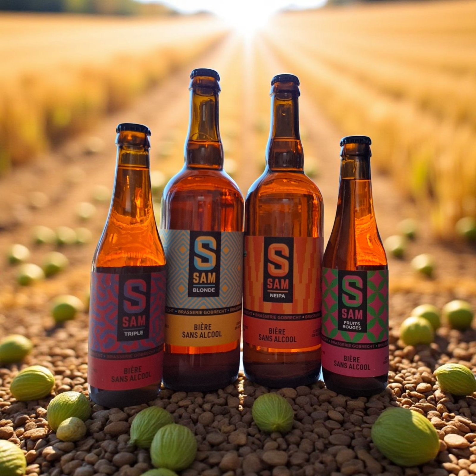 bières sans alcool annecy-le-vieux