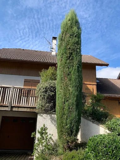ENTRETIEN JARDIN ET TAILLE ARBRE CRAN-GEVRIER